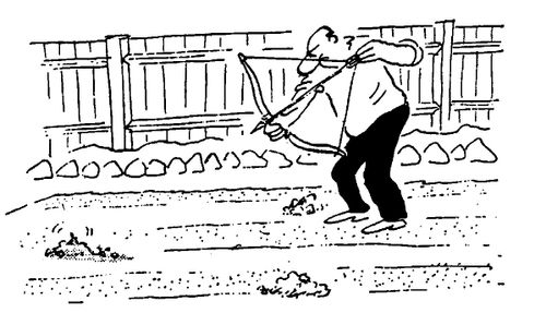 Shooting Moles