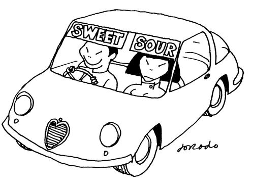 Sweet and Sour Windscreen Visor