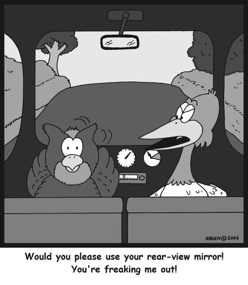 'Would you please use your rear-view mirror! You're freaking me out!'
