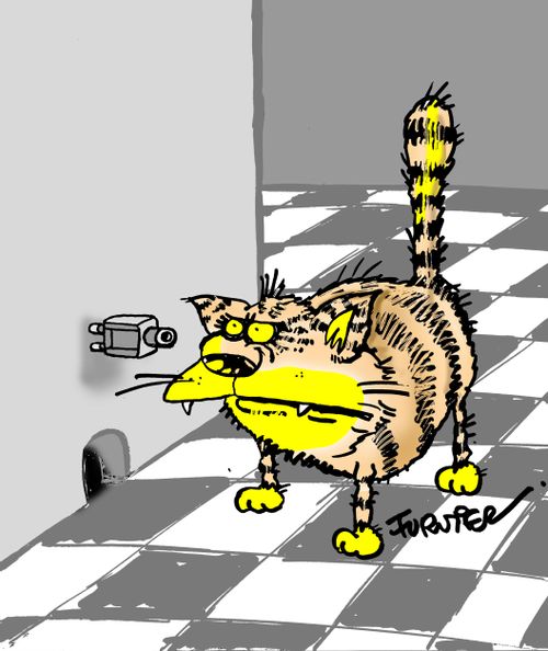 Mouse security camera.