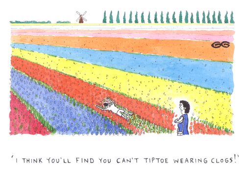 'I think you'll find you can't tiptoe wearing clogs!'
