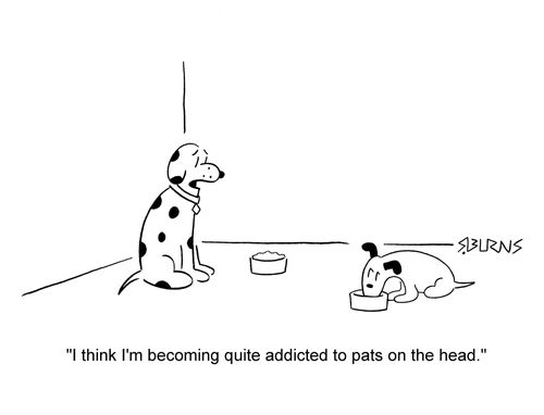 Dog to other: 'I think I'm becoming quite addicted to pats on the head.'
