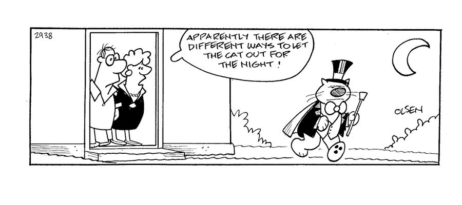 'Apparently there are different ways to let a cat out for the night!'