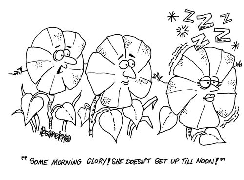'Some morning glory! She doesn't get up till noon!'