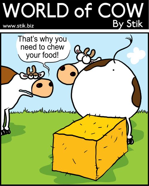 "That's why you need to chew your food!" (cow deposited a hay bale).