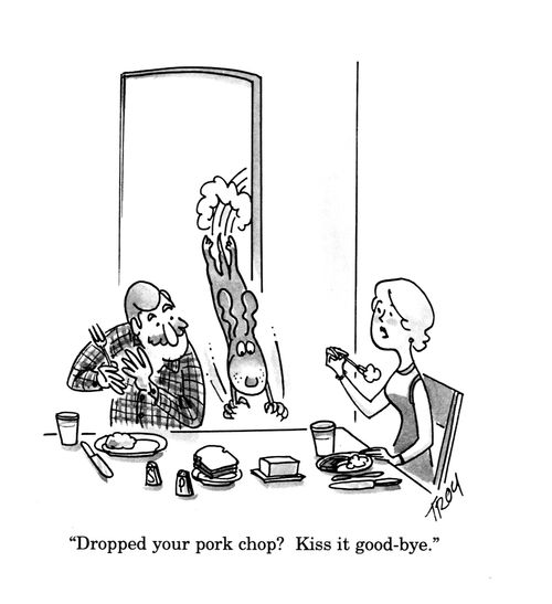 'Dropped your pork chop? Kiss it good-bye.'
