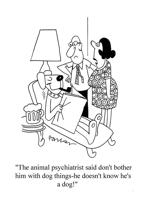 'The animal psychiatrist said don't bother him with dog things- he doesn't know he's a dog!'