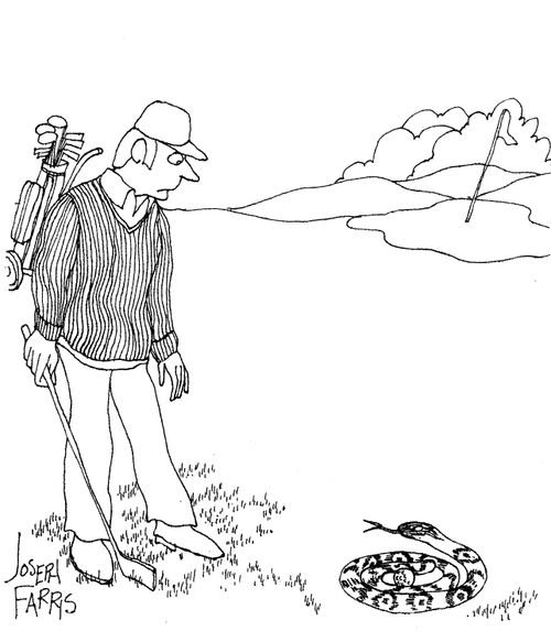 Snake on golf course