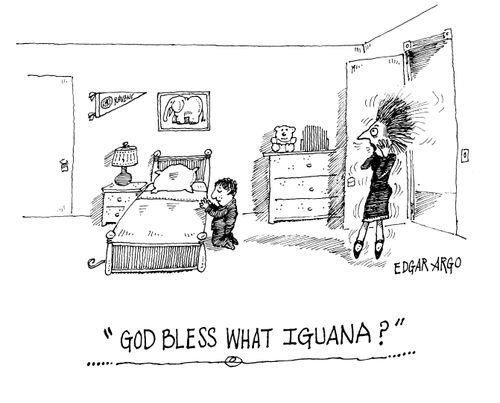 'God Bless What Iguana?'
