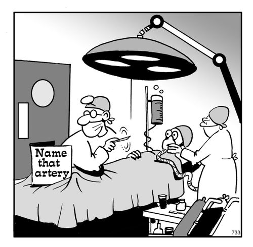 Name that artery.