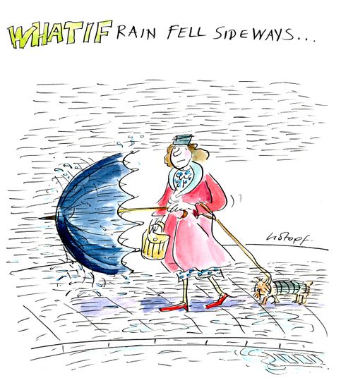 What if rain fell sideways...