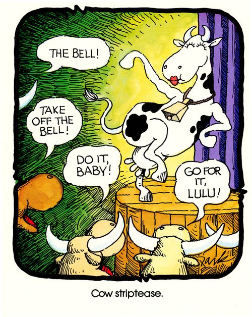 Cow Striptease.