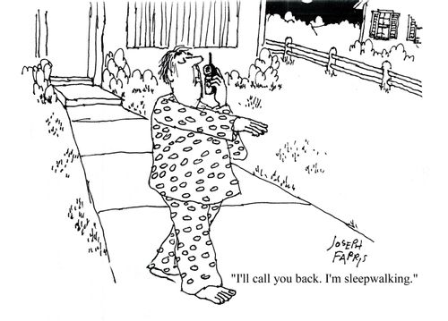 'I'll call you back. I'm sleepwalking.'