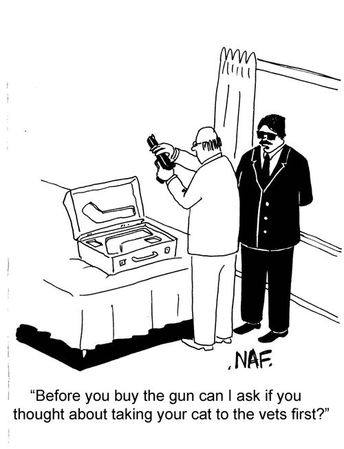 'Before you buy the gun can I ask if you thought about taking your cat to the vets first?'