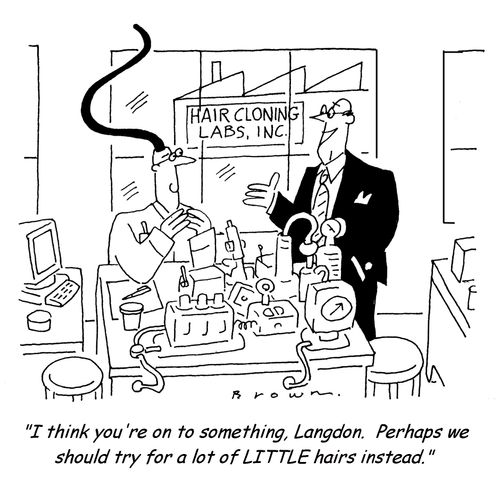 'I think you're on to something, Langdon.  Perhaps we should try for a lot of LITTLE hairs instead.'