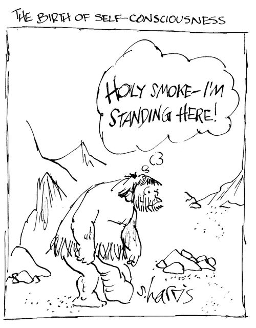 'Tthe birth of self-consciousness' - 'Holy Smoke - I'm standing here!'