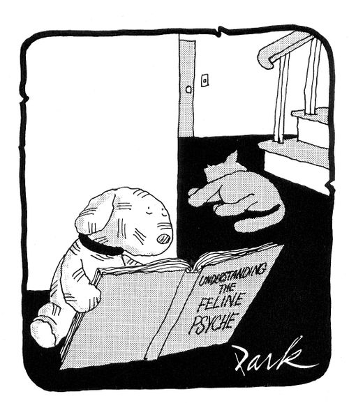 Dog reading a manual called 'understanding the feline psyche'.
