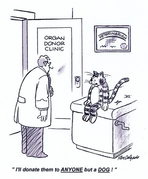 'I'll donate them to ANYONE but a DOG.'