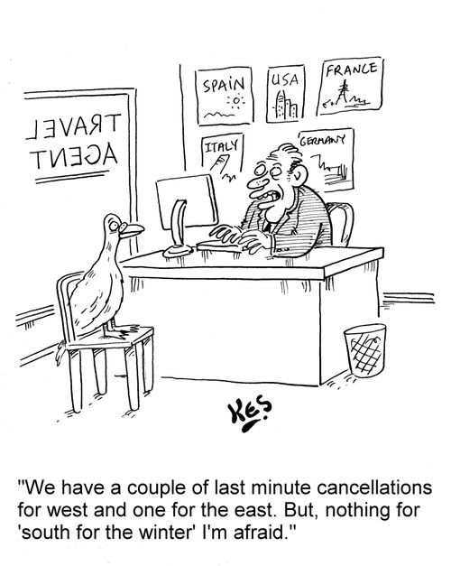 "We have a couple of last minute cancellations for west and one for the east. But, nothing for 'south for winter' I'm afraid."