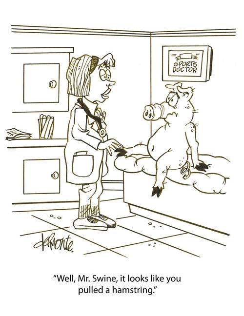 'Well, Mr. Swine, it looks like you pulled a hamstring.'