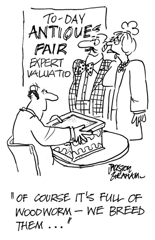 "Of course, it's full of woodworm, we breed them..."