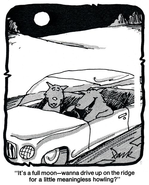 'It's a full moon - wanna drive up on the ridge for a little meaningless howling?'