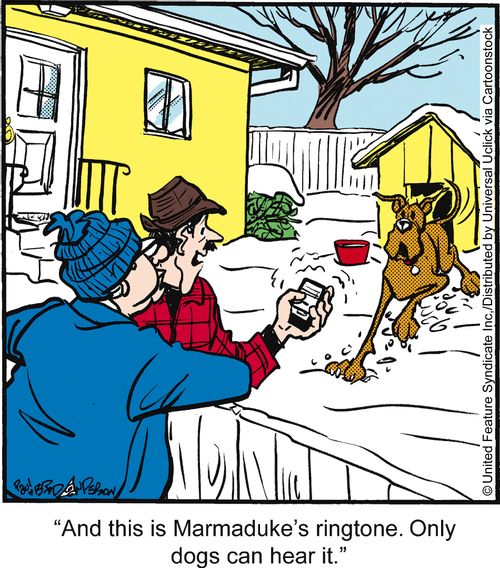 'And this is Marmaduke's ringtone. Only dogs can hear it.'