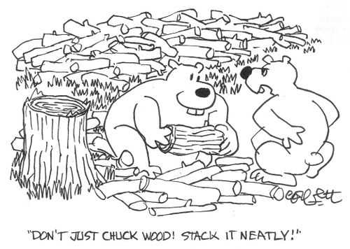 'Don't just chuck wood!  Stack it neatly!'