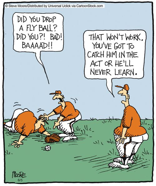 'Did you drop a fly ball? Did you?! Bad! Baaaad!'