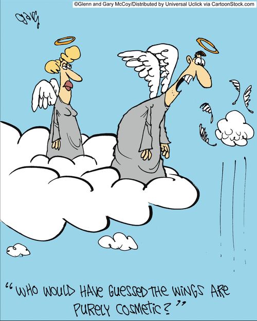 'Who would have guessed the wings are purely cosmetic?'