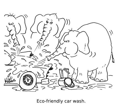 Eco-friendly car wash.