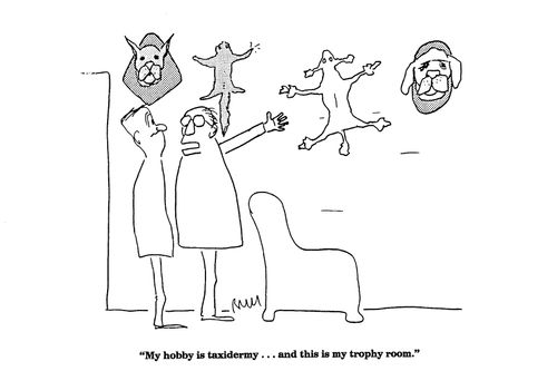 'My hobby is taxidermy...and this is my trophy room.'