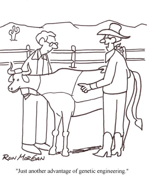 "Just another advantage of genetic engineering."