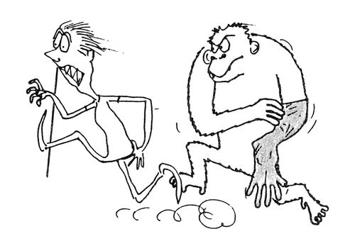 Gorilla Chasing Vet.
