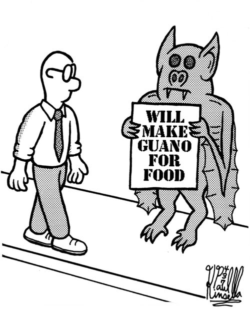 Will make guano for food. (begging bat)