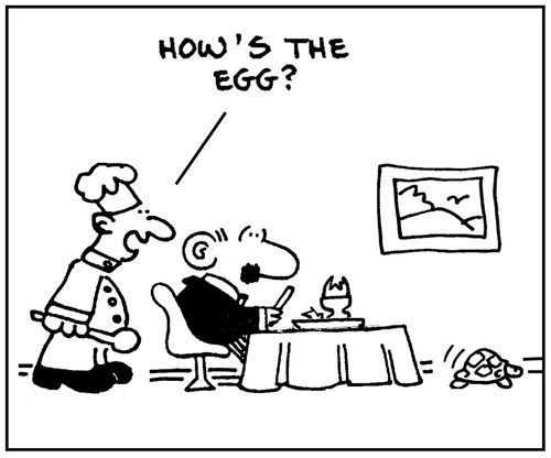 'How's the egg?'