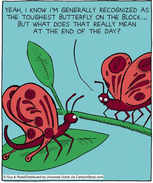 'Yeah, I know I'm generally recognized as the toughest butterfly on the block. . . But what does that really mean at the end of the day?'