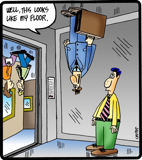 'Well, this looks like my floor.'