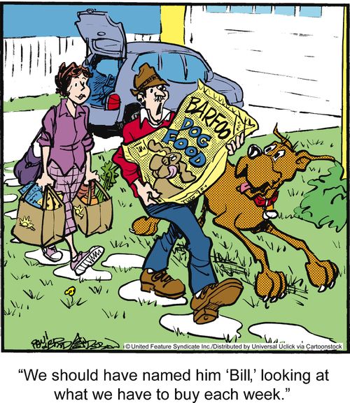 'We should have named him 'Bill,' looking at what we have to buy each week.'