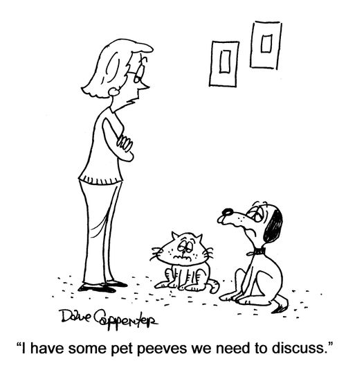'I have some pet peeves we need to discuss.'