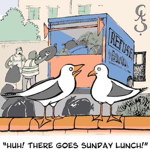 'Huh! There goes Sunday lunch!'