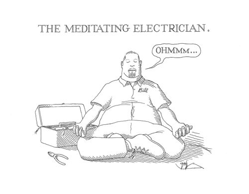 The Meditating Electrician