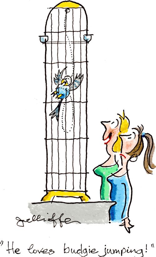 'He loves budgie jumping!'