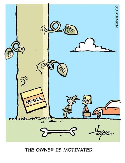 'The owner is motivated.'