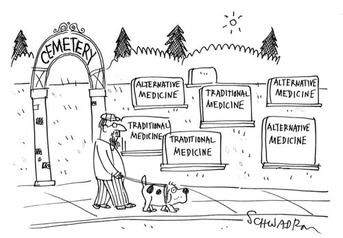Cemetery with graves engraved 'traditional medicine' and 'alternative medicine'.