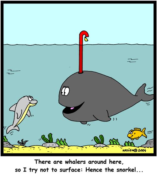 There are whalers around here, so I try not to surface: Hence the snorkel...'