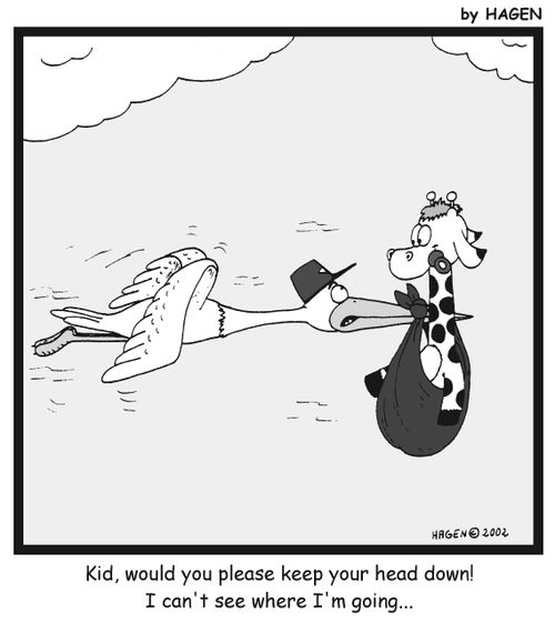 'Kid, would you please keep your head down! I can't see where I'm going...'
