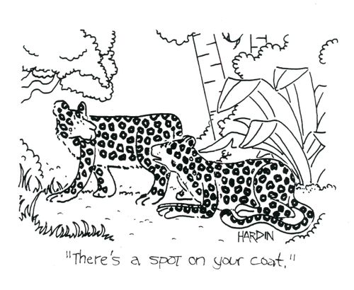 'There's a spot on your coat.'