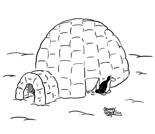 Penguin emerging from igloo pet door.