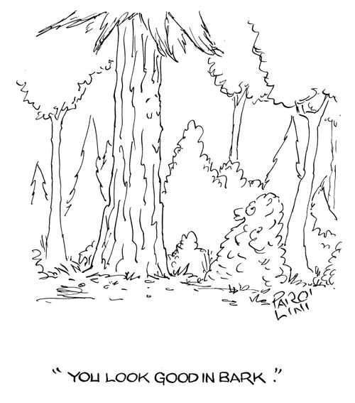 'You look good in bark.'